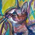 Marzena Salwowska - Mr. Miro's cat