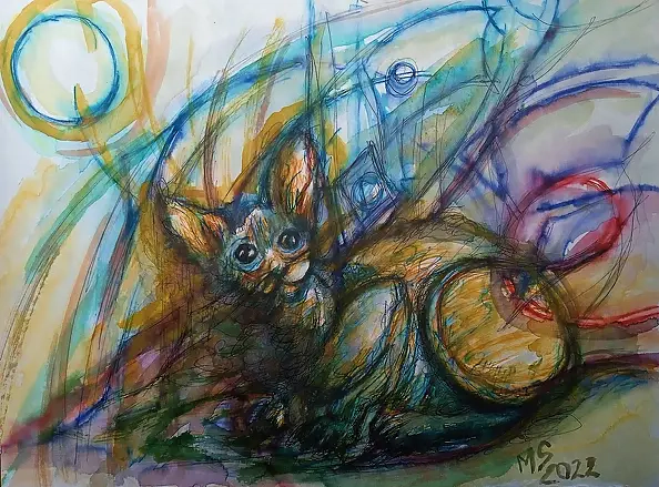 Marzena Salwowska - Kot Pana Schrödingera 