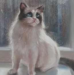 Celina Litke - Cat