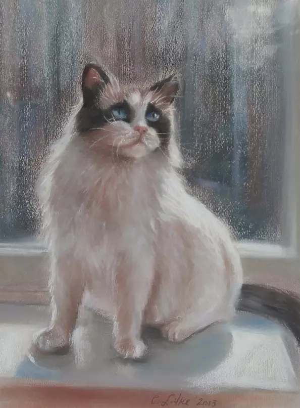 Celina Litke - Cat