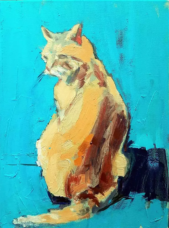 Doma Suszczyńska - Cat