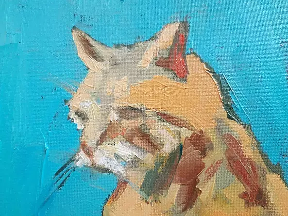 Doma Suszczyńska - Cat