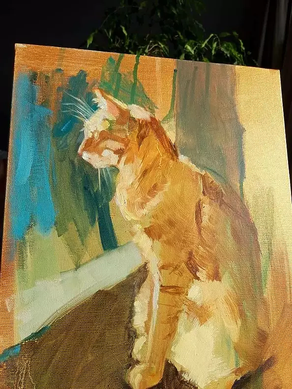 Doma Suszczyńska - Cat