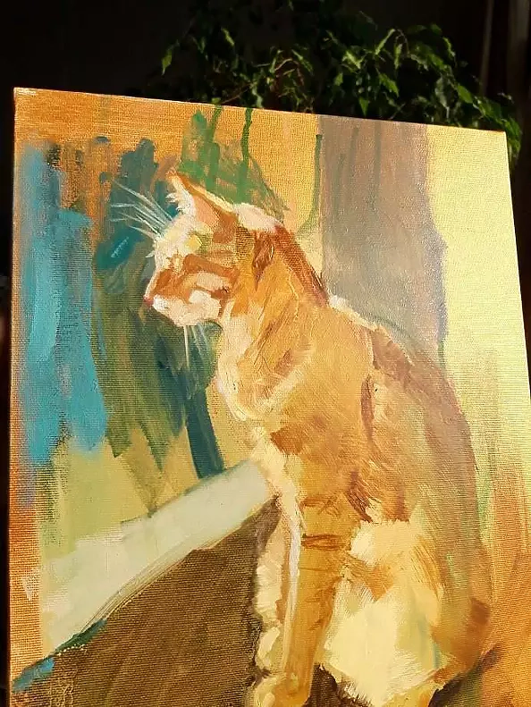 Doma Suszczyńska - Cat