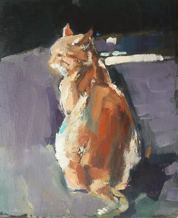 Doma Suszczyńska - Cat
