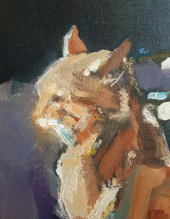 Doma Suszczyńska - Cat