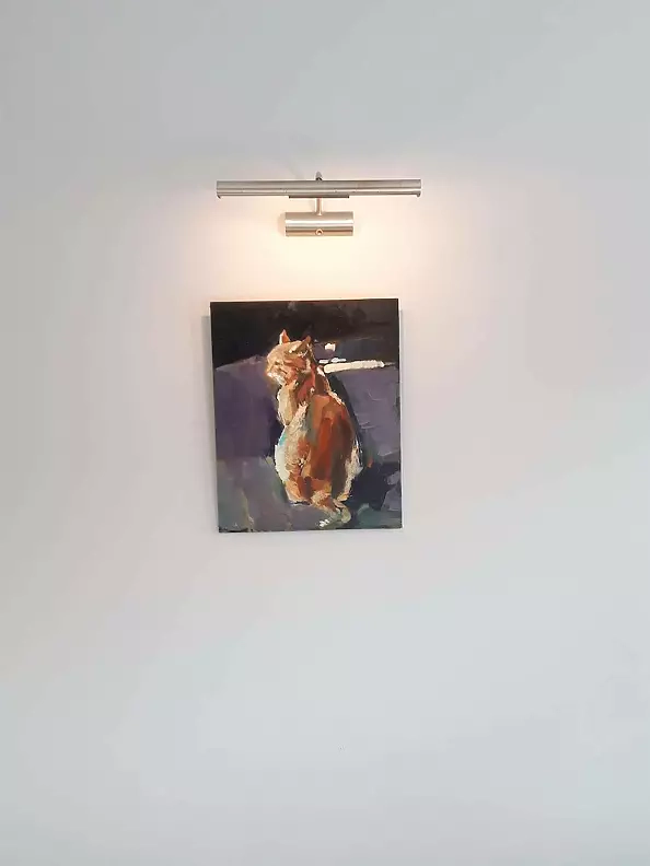 Doma Suszczyńska - Cat