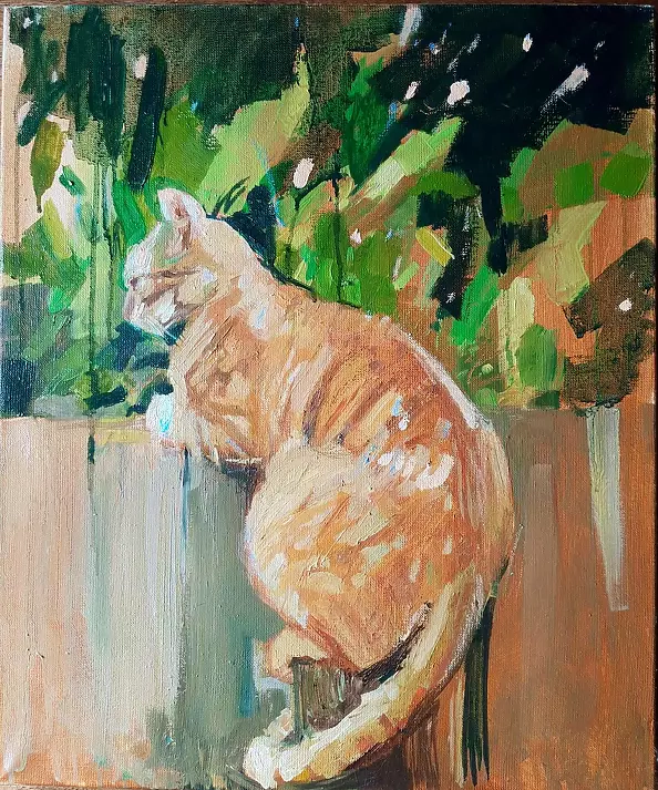 Doma Suszczyńska - Cat