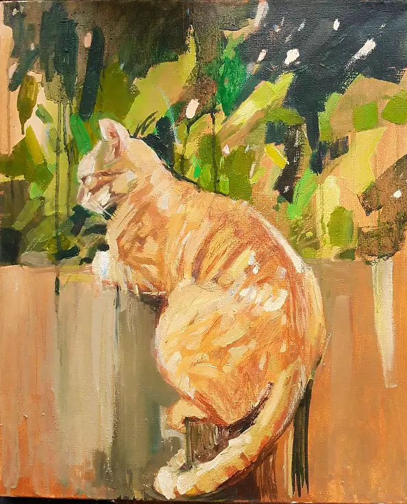 Doma Suszczyńska - Cat