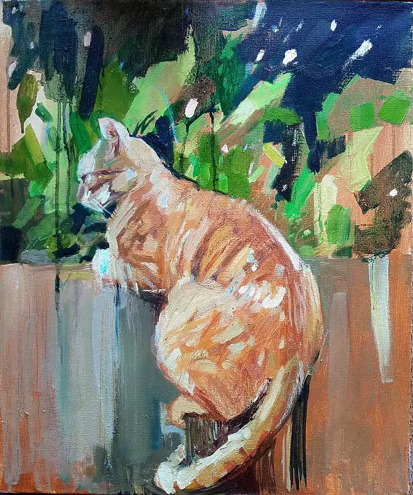 Doma Suszczyńska - Cat