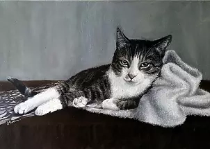 Elżbieta Mozyro - Cat