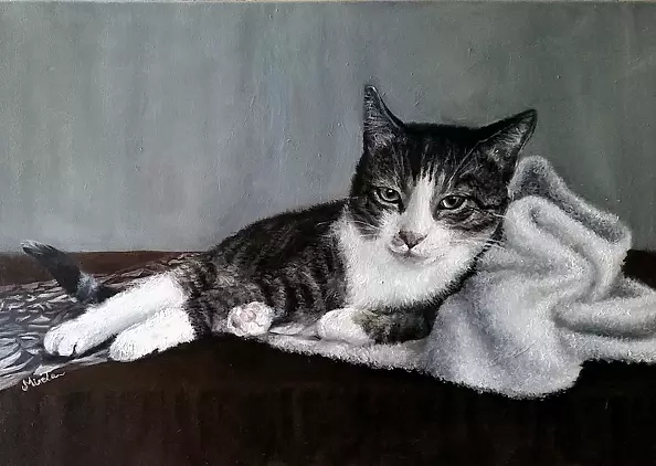 Elżbieta Mozyro - Cat