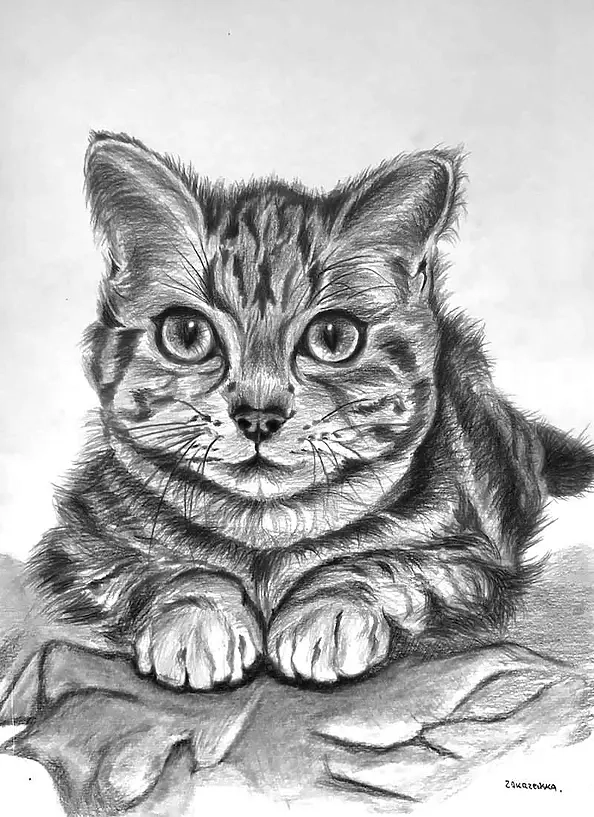 Ewa Zakrzewska - Cat