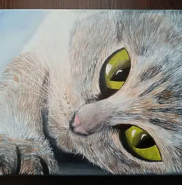 Grzegorz Szpunar - Kot