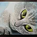 Grzegorz Szpunar - The cat