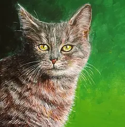 Marta Milewska - Chat sur fond vert