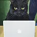 Nataliya Bagatskaya - The Cat Read the Emails First