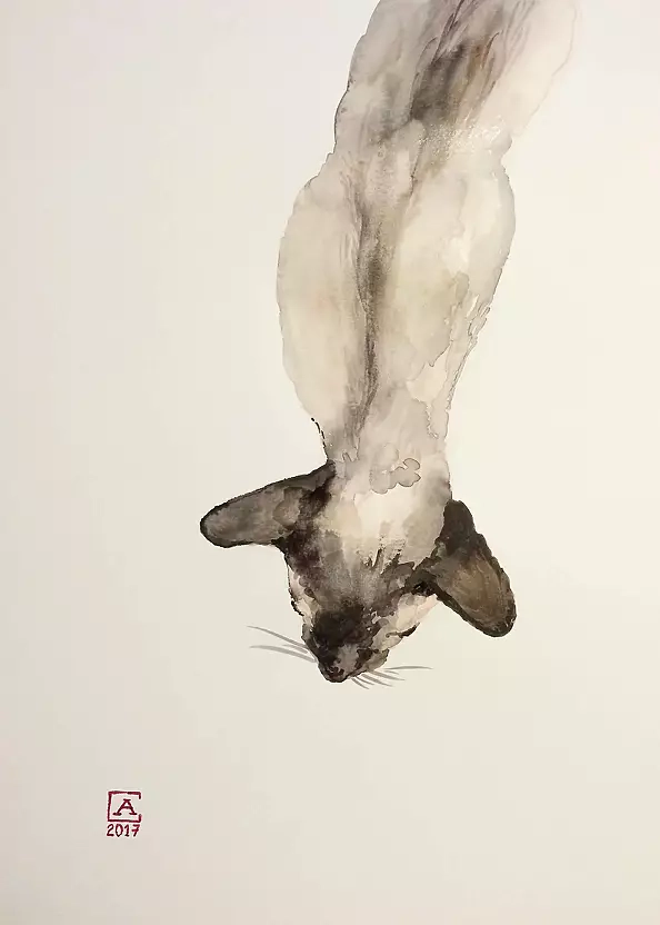 Artur Cieślar - Kot syjamski