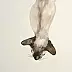 Artur Cieślar - Siamese cat