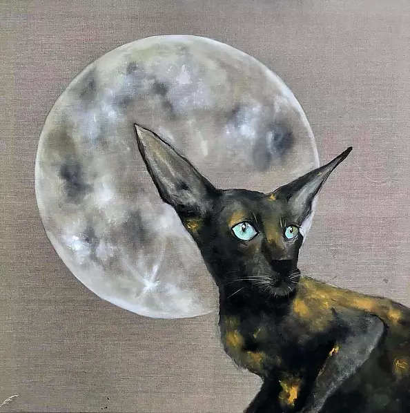 Artur Cieślar - Siamese cat in full moon
