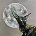 Artur Cieślar - Siamese cat in full moon