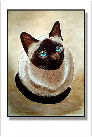 Jolanta Dusza - Kot tajski