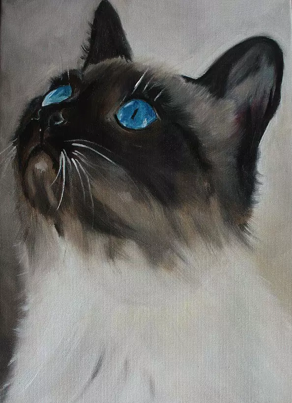 Barbara Korczak - Cat Thai followers