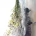 Anna Baryła - Cat in dill - kitty in damage