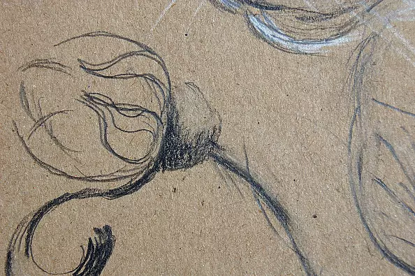 Amelia Augustyn - Kot w ogrodzie