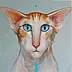 Jadwiga Wolska - Cat from the Pleiades