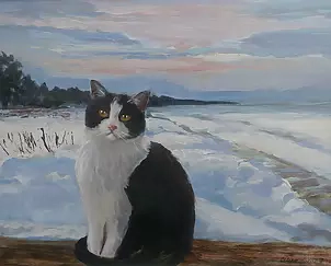 Celina Litke - cat winter