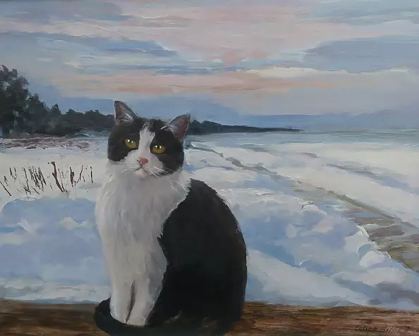 Celina Litke - cat winter