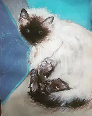 Mariola Paulina Żylińska Jestadt - Kitten Eli