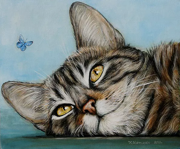 Katarzyna Niemczak - kitten Neverland