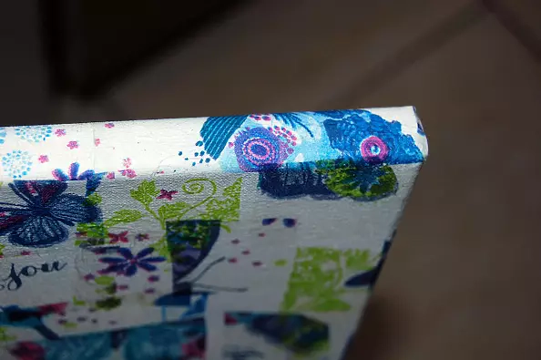 Amelia Augustyn - Kotek