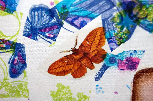 Amelia Augustyn - Kotek