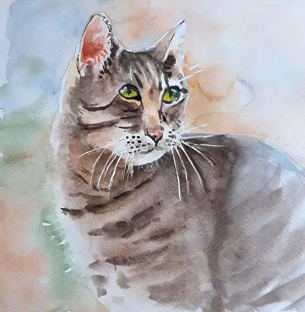 Zdzisław Rutkowski - Kitten