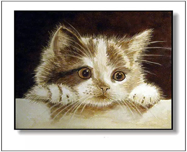 Jolanta Dusza - Kitty