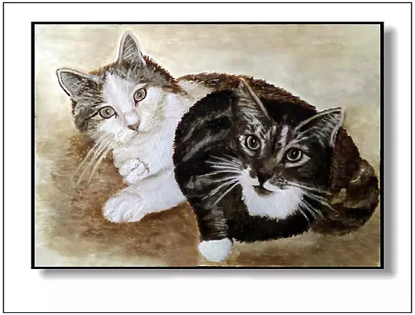 Jolanta Dusza - Koty3