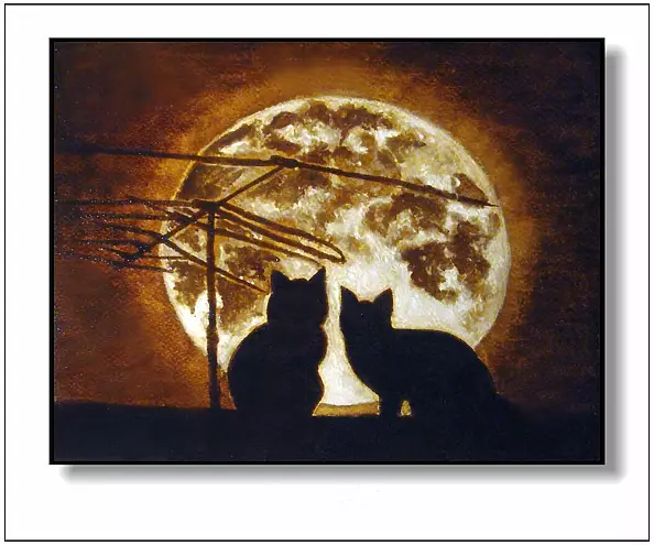 Jolanta Dusza - Cats