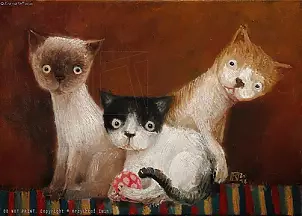 Krzysztof Iwin - Cats