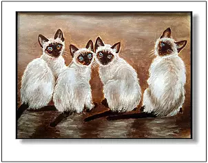 Jolanta Dusza - cats Thai