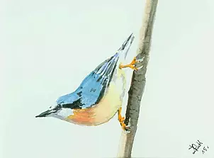 Zdzisław Rutkowski - Kowalik II