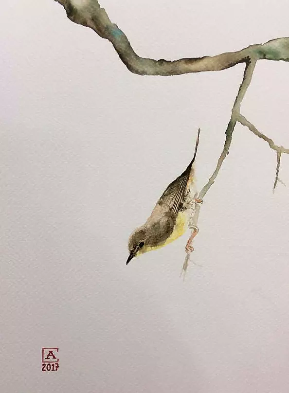 Artur Cieślar - nuthatch