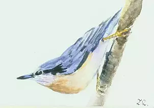 Zdzisław Rutkowski - Kowalik