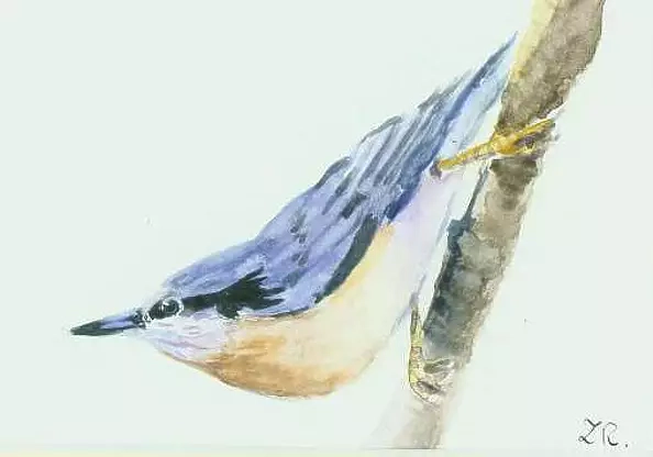 Zdzisław Rutkowski - Kowalik