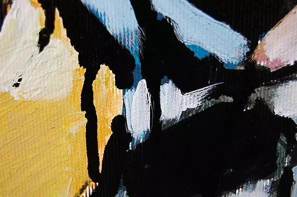 Amelia Augustyn - Koza