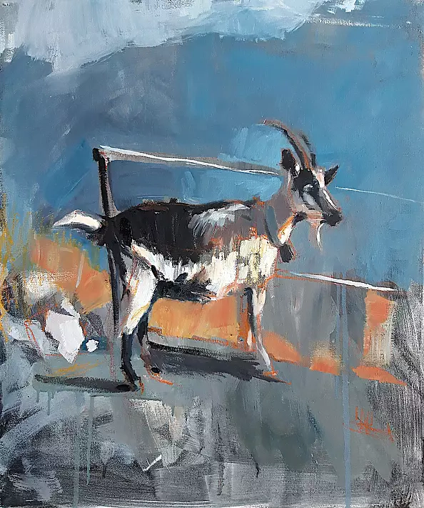 Doma Suszczyńska - Koza