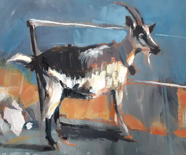 Doma Suszczyńska - Koza