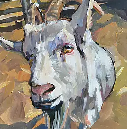 Magdalena Szpyt - goat